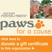 Paws for a Cause