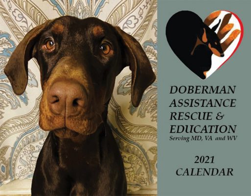 DAR&E 2021 Calendar