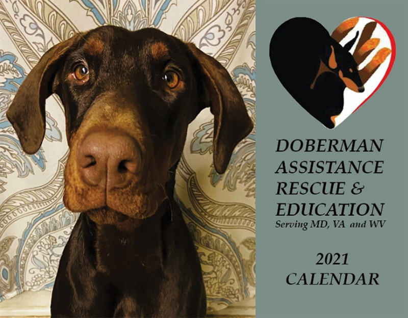 DAR&E 2021 Calendar