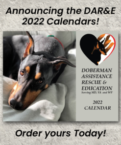 DARE 2022 Calendar
