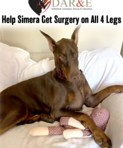 Help Simera Get Surgery