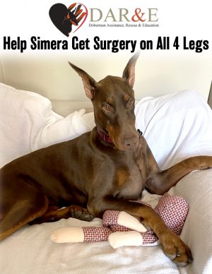 Help Simera Get Surgery