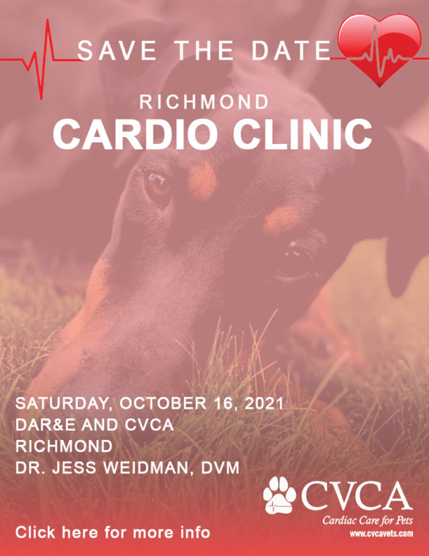 Richmond Cardio Clinic