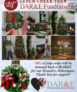 Lynch Creek Farms DAR&E 2025 Fundraiser