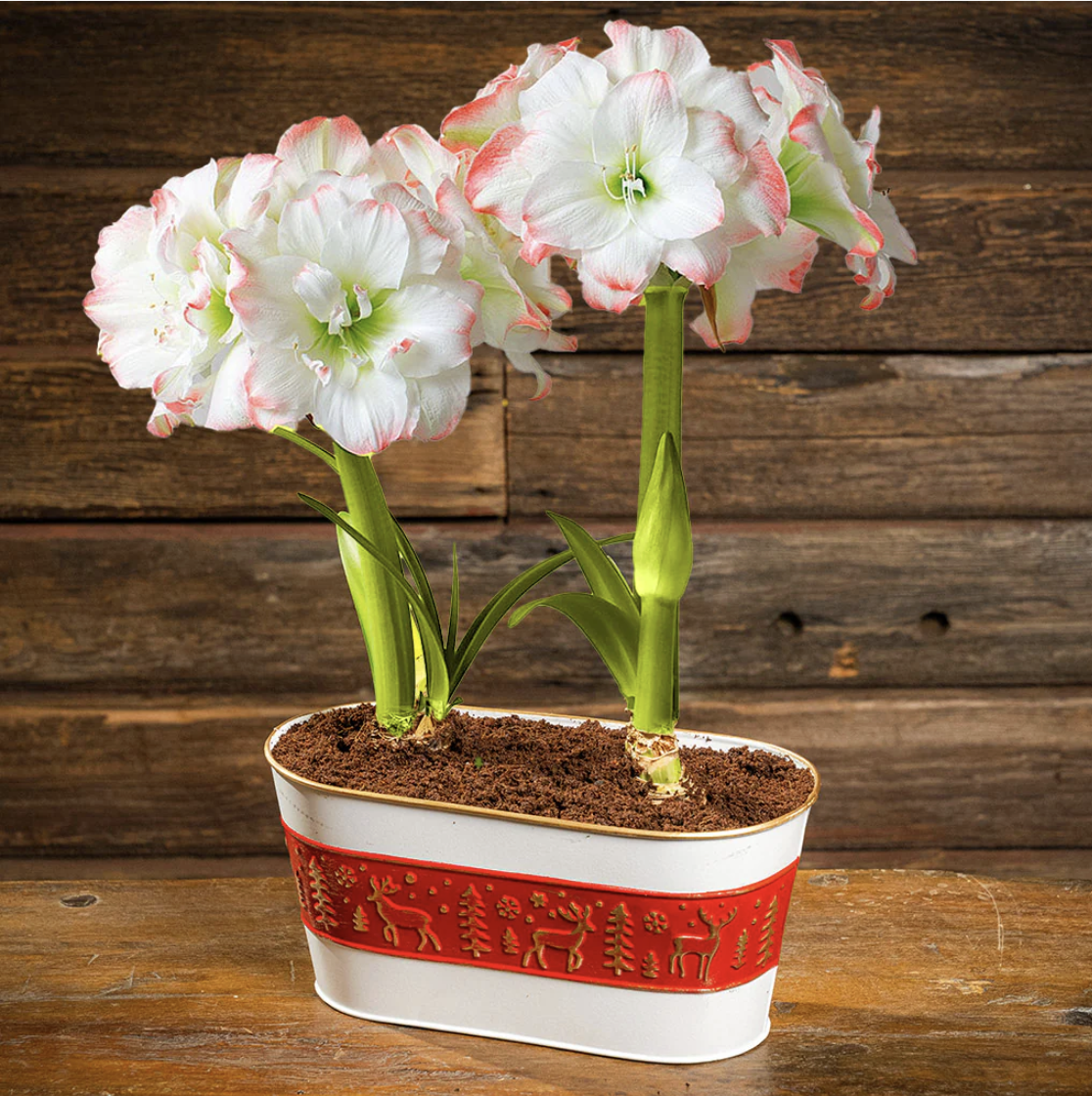 Lynch Creek Farms - Image 7