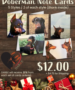 Doberman Note Cards