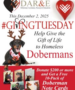 Giving Tuesday