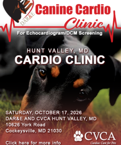 Hunt Valley MD Cardio Clinic ~ Oct 17, 2026