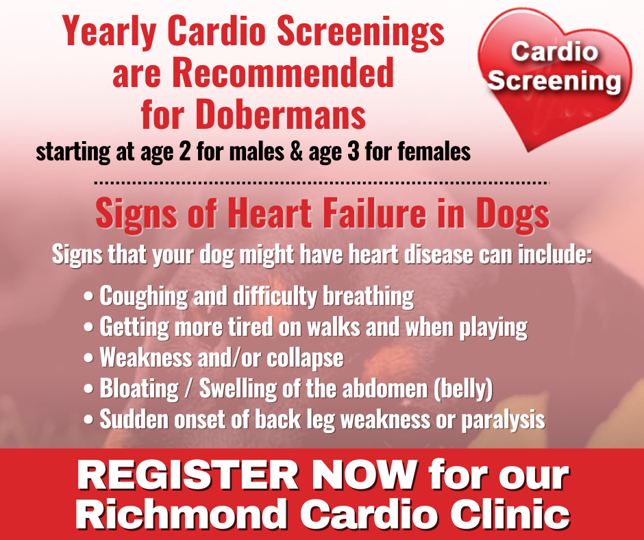 Richmond, VA Cardio Clinic ~ August 15, 2026 - Image 2