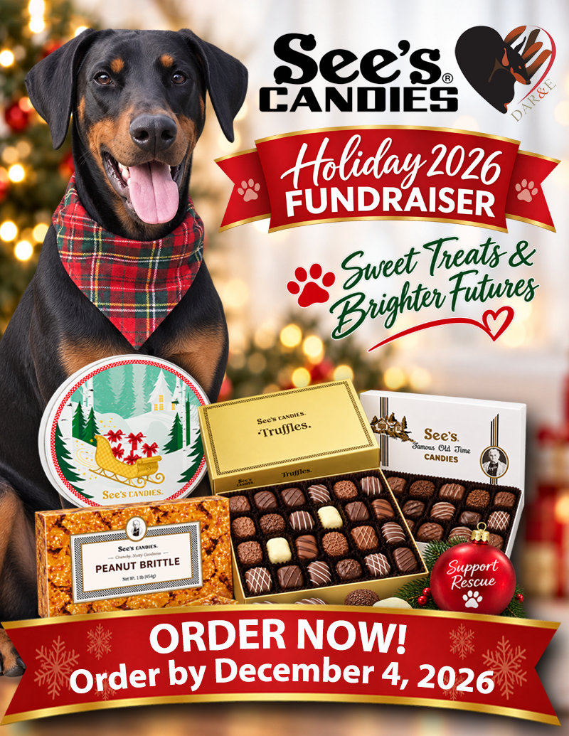 See's Holiday Candies