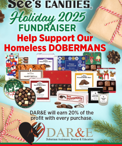 See's Holiday Candies