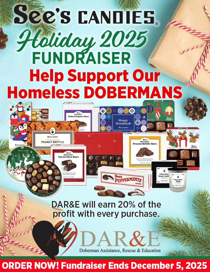 See's Holiday Candies