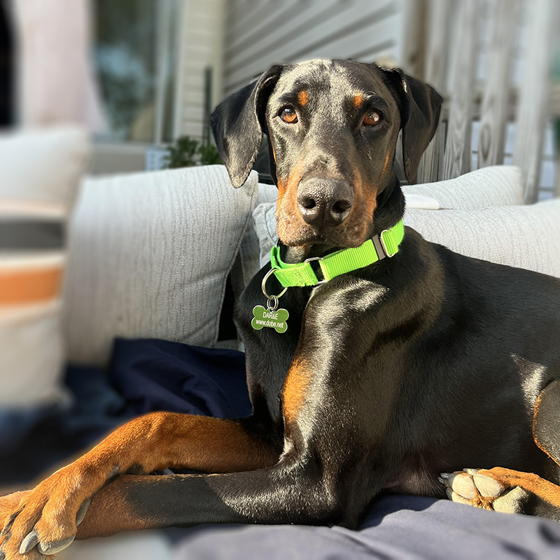 Max