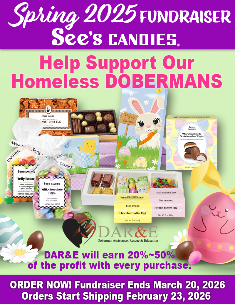 See's Spring Candies