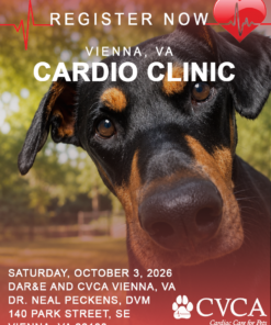 Vienna VA Cardio Clinic ~ October 3, 2026
