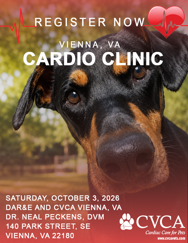 Vienna VA Cardio Clinic ~ October 3, 2026