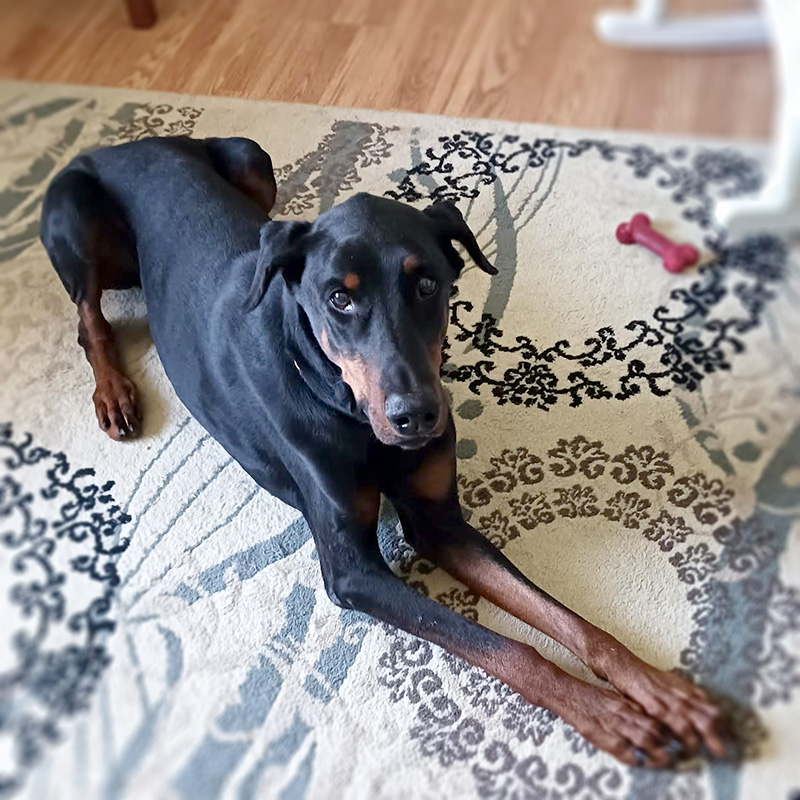 Argo