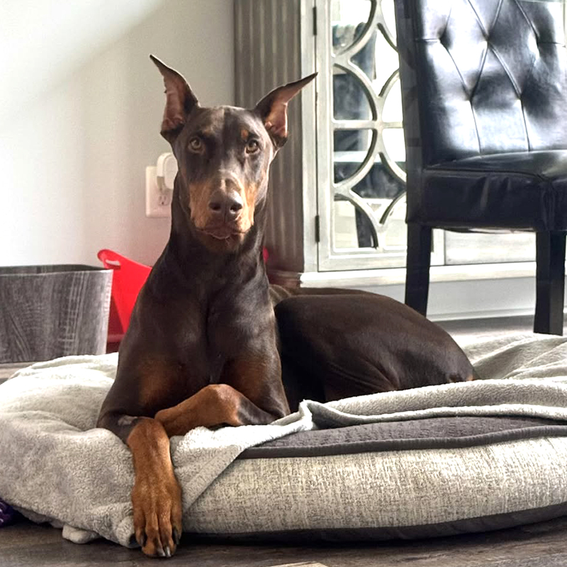 Ellie