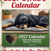 DAR&E 2027 Calendar for Pre-Orer
