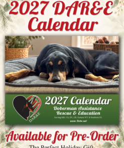 DAR&E 2027 Calendar for Pre-Orer