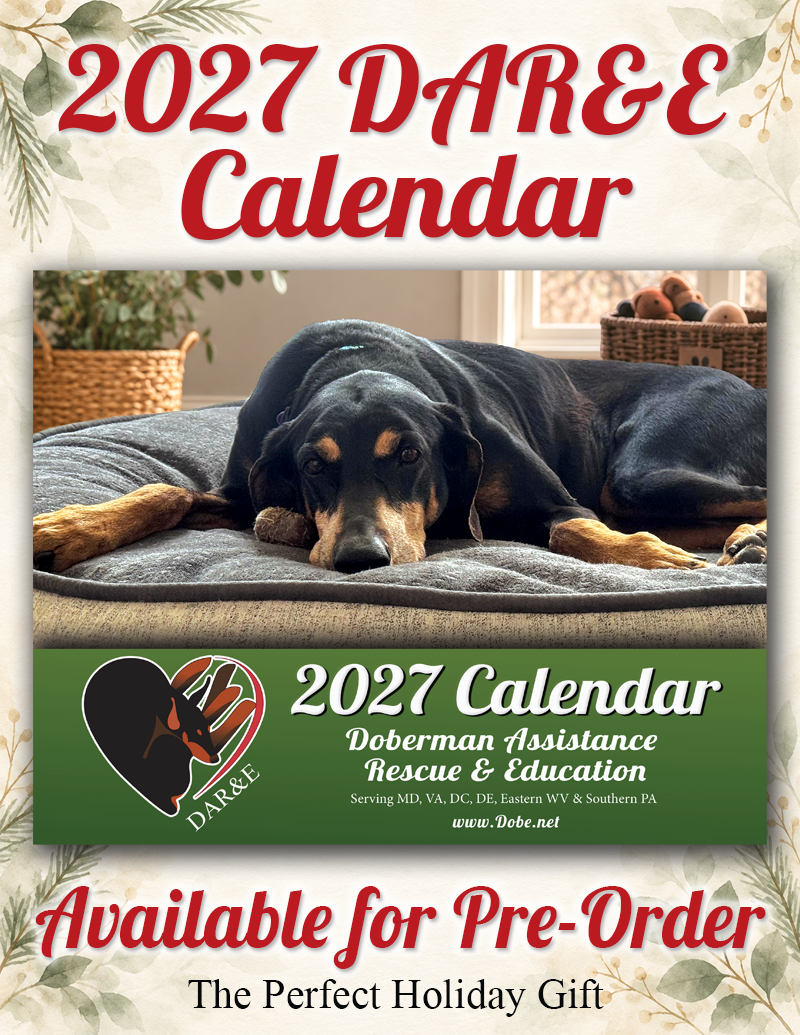 DAR&E 2027 Calendar for Pre-Orer