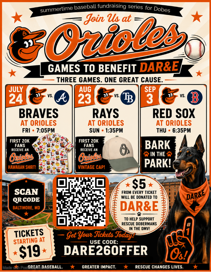 Orioles Games for DAR&E - Image 2