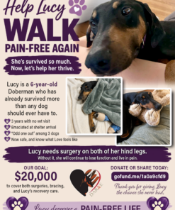 Help Lucy Walk Pain-Free