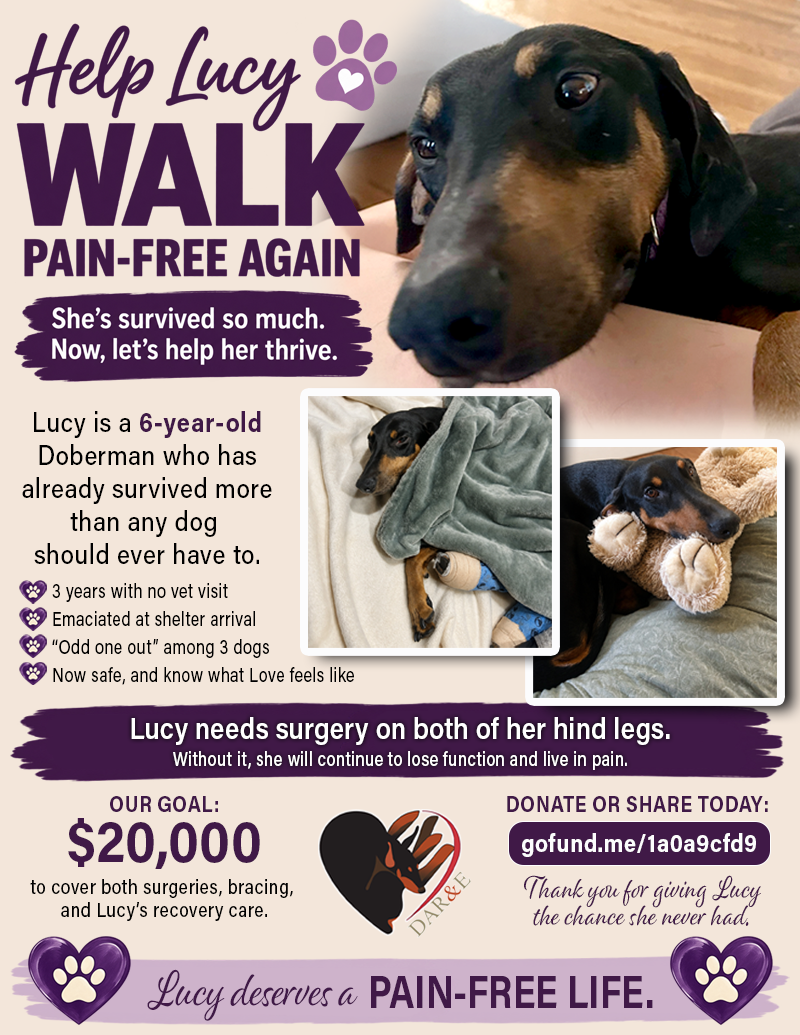 Help Lucy Walk Pain-Free