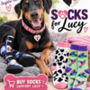 Buy Socks and Help Lucy