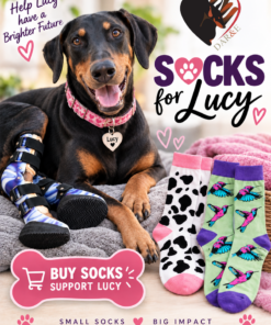 Buy Socks and Help Lucy