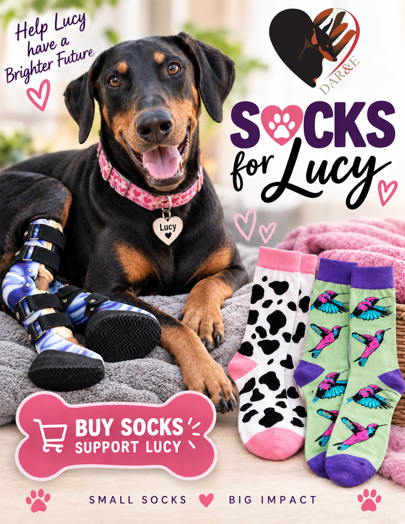 Buy Socks and Help Lucy