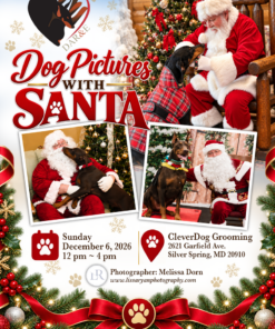 Santa Photos