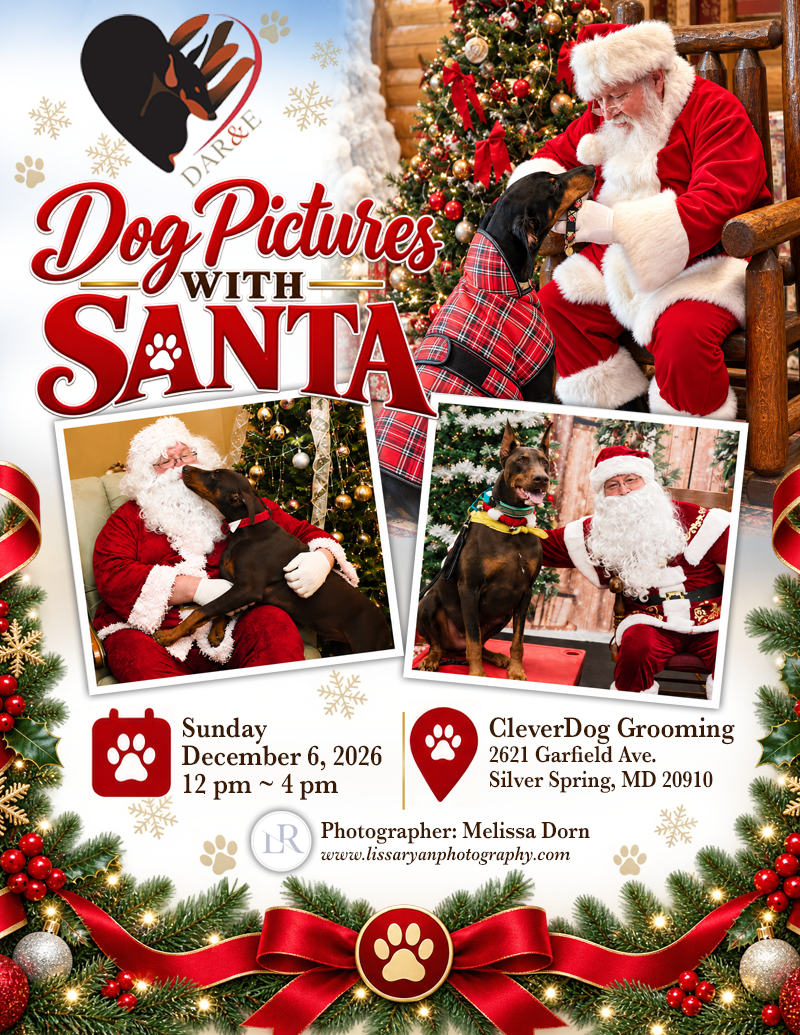 Santa Photos