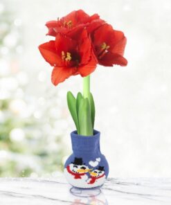 Beautiful Christmas Flowers - Image 8